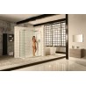 Aspirante Minimalist 8.5kW Electric Shower with Central Control - White Gloss